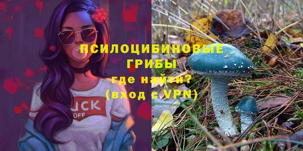 PSILOCYBIN Пестово