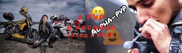 PSILOCYBIN Пестово