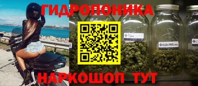 соль ск Гатчина