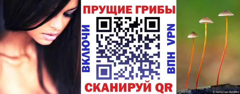 Псилоцибиновые грибы мицелий  Уфа 
