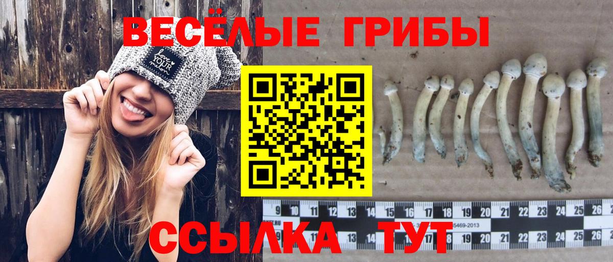 Псилоцибиновые грибы прущие грибы Уфа