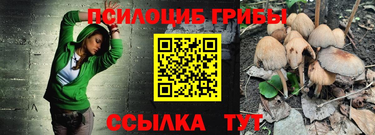 где купить наркоту  Вход с VPN  Уфа  Псилоцибиновые грибы Psilocybine cubensis 